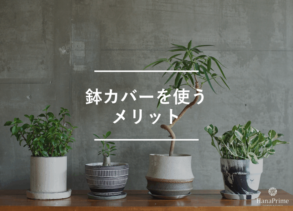 レザーポット鉢カバーグレー38 観葉植物用