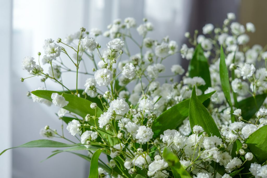 かすみ草様ご確認用 かすみ草様 確認用
