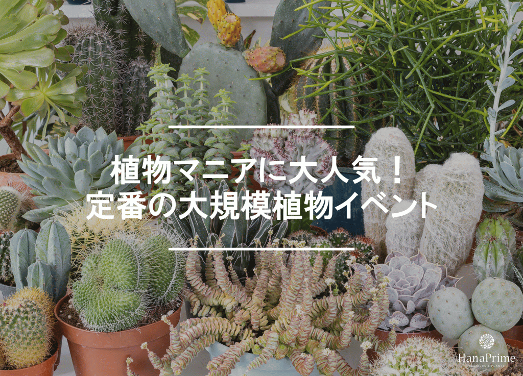 2025年最新｜植物イベントのまとめ全国版｜植物図鑑｜HanaPrime（ハナ