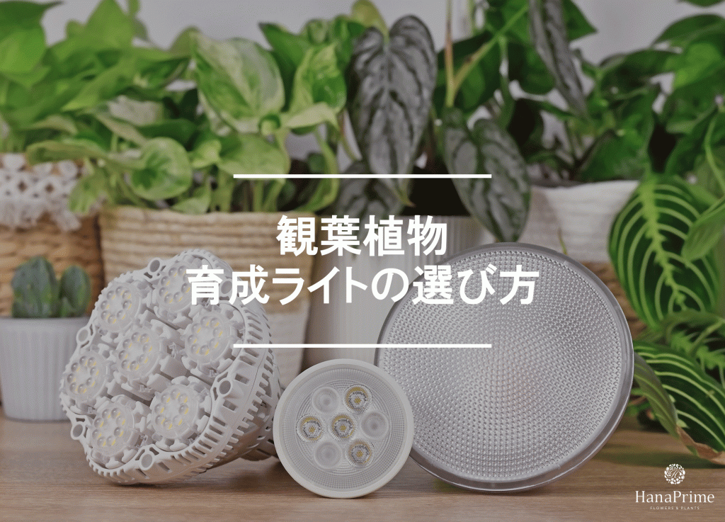 未使用】 Kaiju Plant 怪獣フレア301 植物育成ライトパネルLED Kaiju