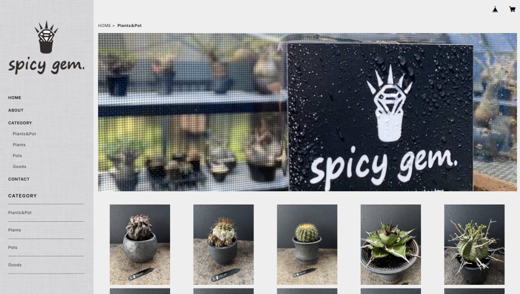 アガベにおすすめの鉢9選｜プラ鉢と陶器鉢｜植物図鑑｜HanaPrime（ハナ