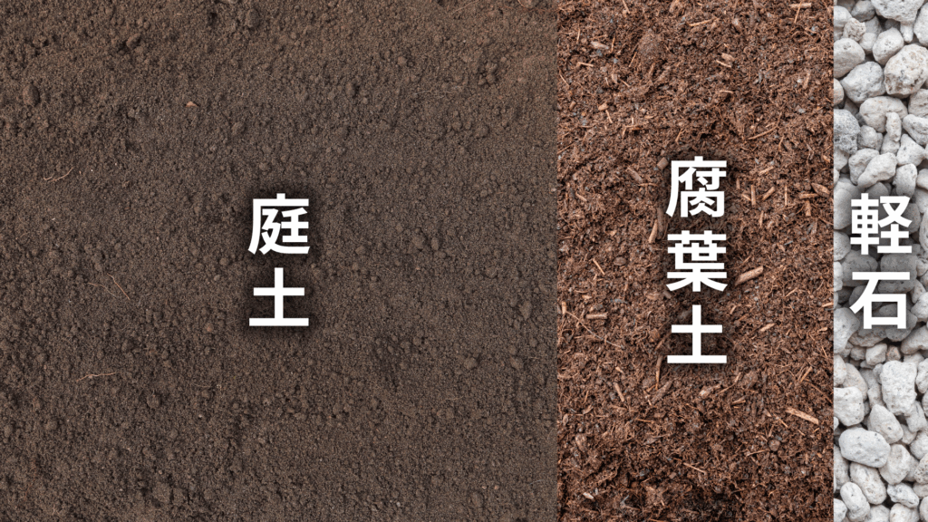 アガベ オバティフォリアの育て方｜植物図鑑｜HanaPrime（ハナプライム）