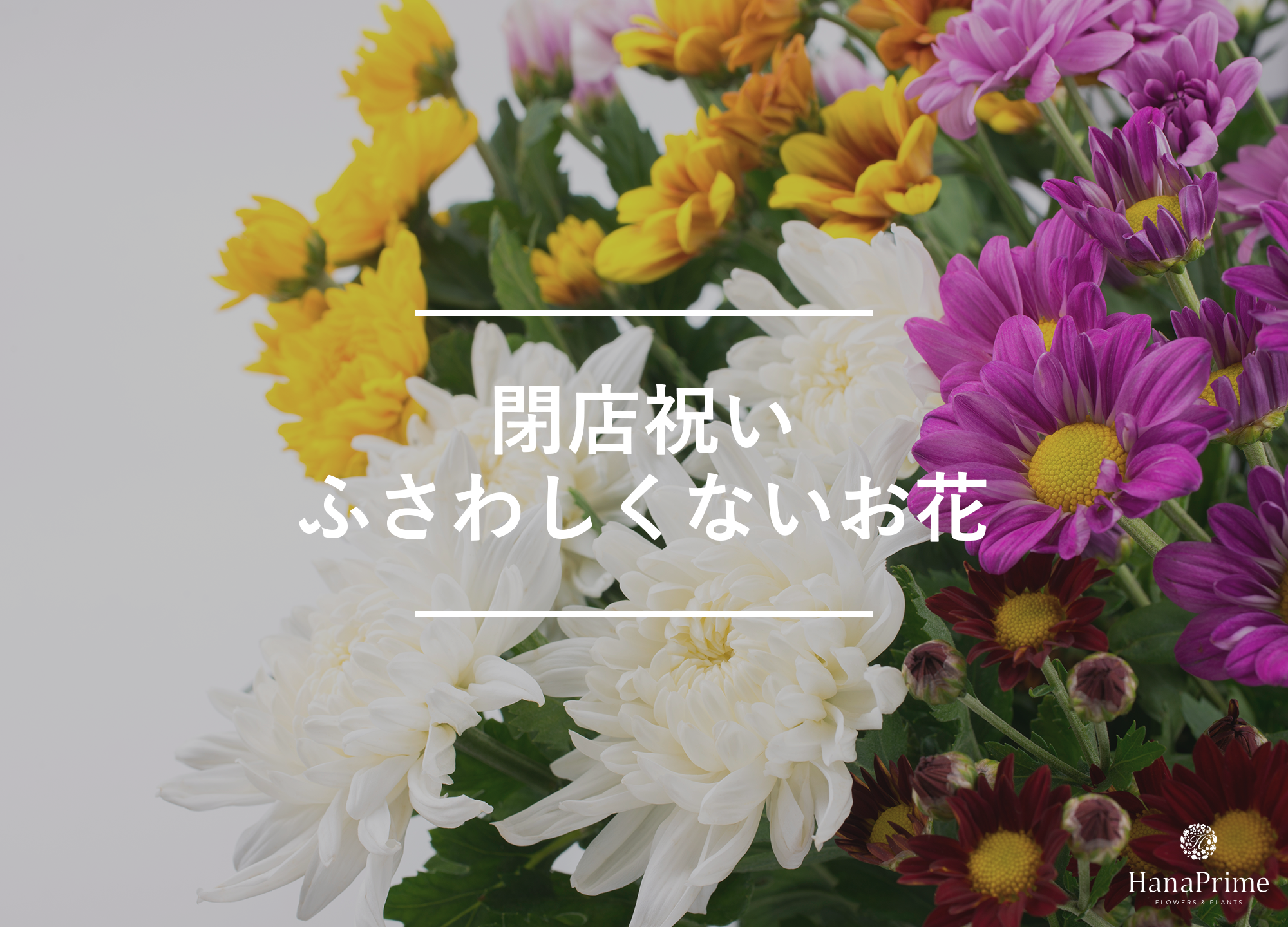 閉店祝いで避けたほうがよい花の特徴