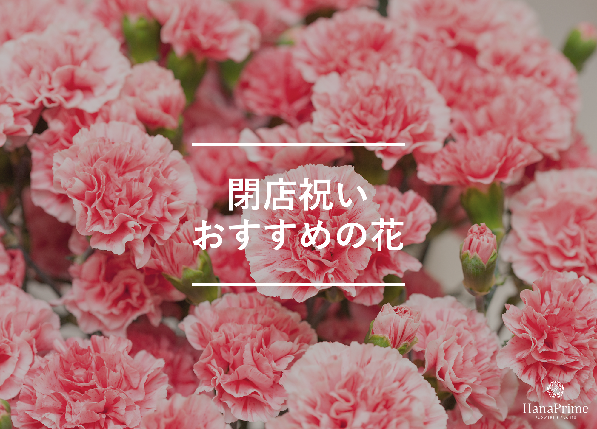 閉店祝いにおすすめのお花